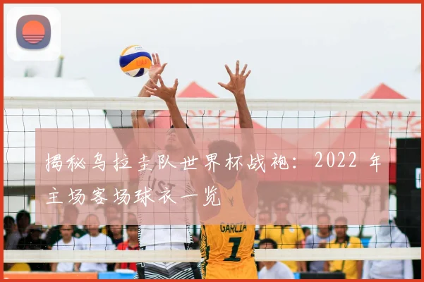 揭秘乌拉圭队世界杯战袍：2022 年主场客场球衣一览